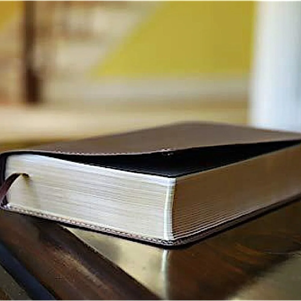 NIV Foundation Study Bible, Leathersoft, Brown, Red Letter NIB